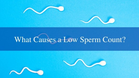 What Causes a Low Sperm Count?