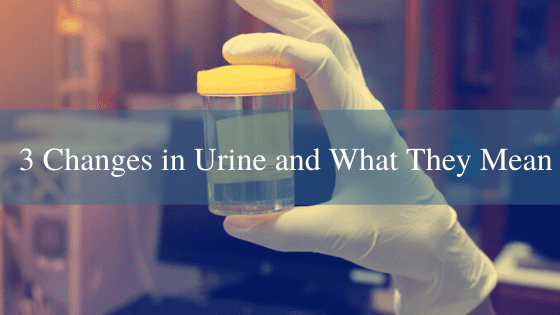 7 CHANGES IN URINE AND WHAT THEY MEAN