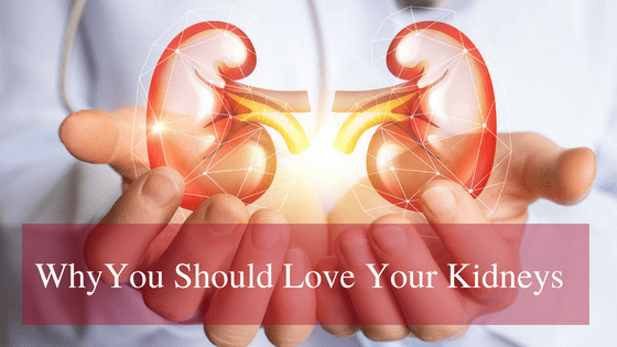 Why You Should Love Your Kidneys